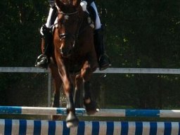 img-98801-580